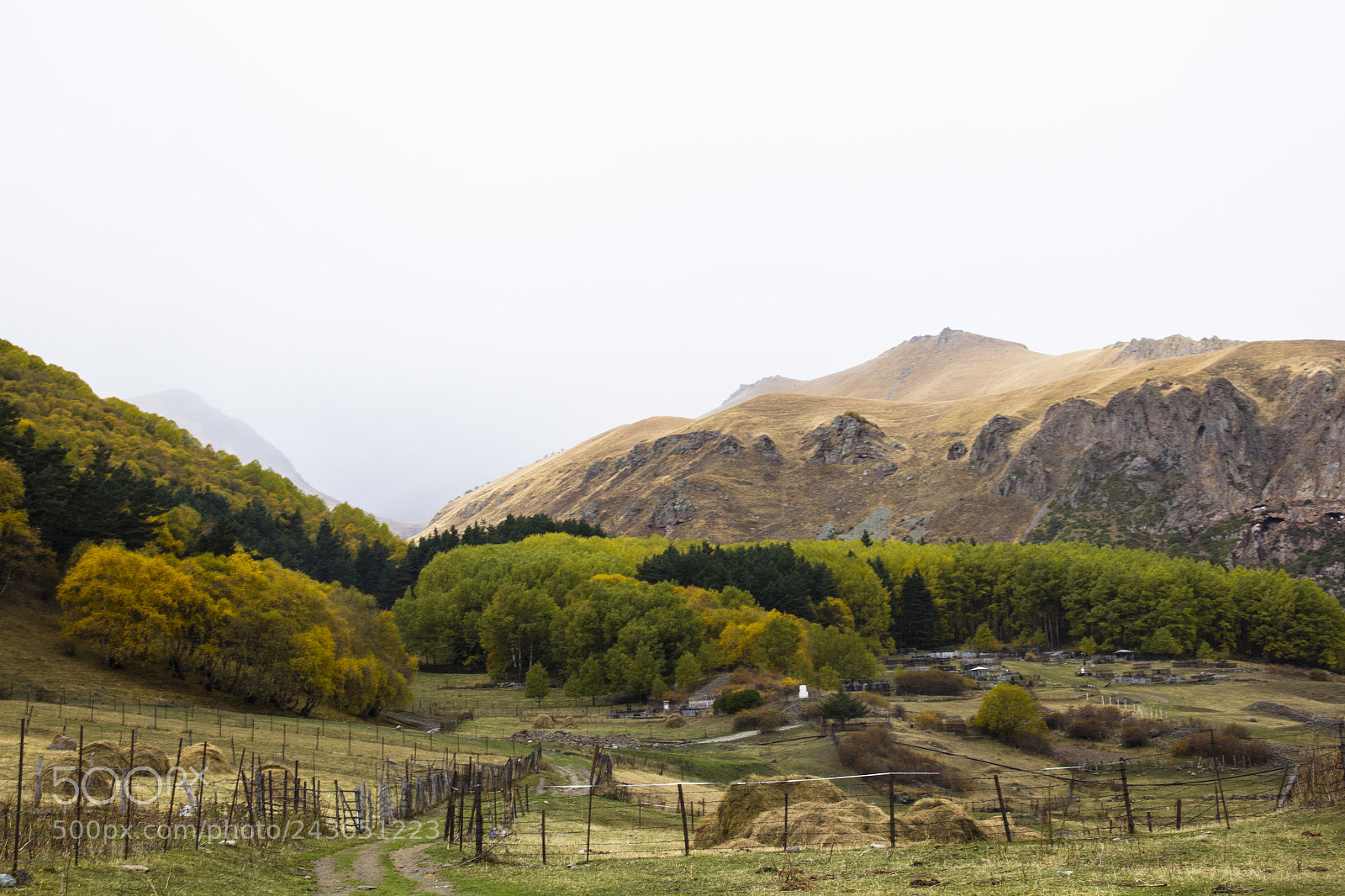 Canon EOS 60D sample photo. Kazbegi_valley photography