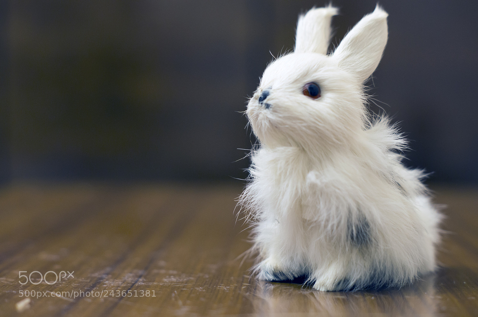 Sony SLT-A57 sample photo. Rabbit toy photography