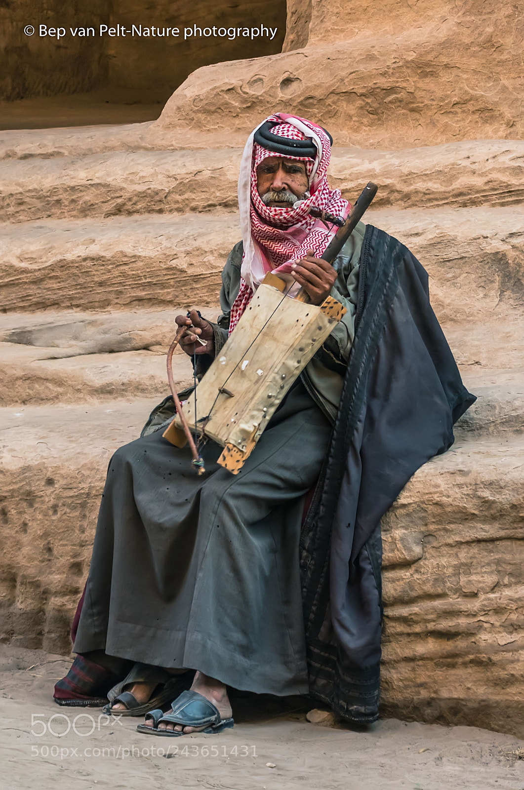 Nikon D500 sample photo. Musician with one stringed photography