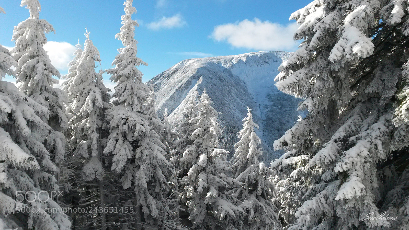 Samsung Galaxy S4 Mini sample photo. When snow falls, nature photography