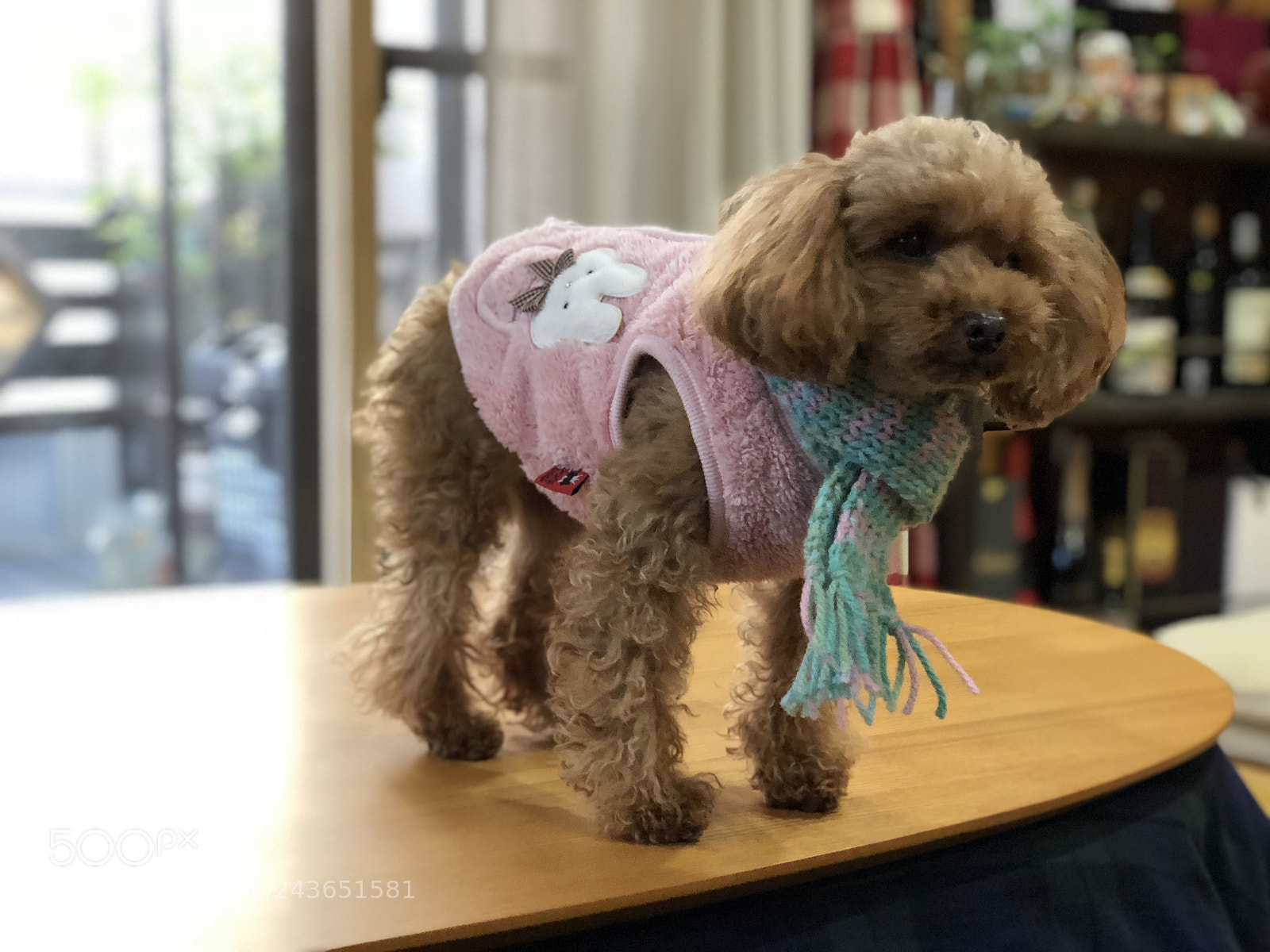 Apple iPhone X sample photo. マフラーの巻き(^_^) photography