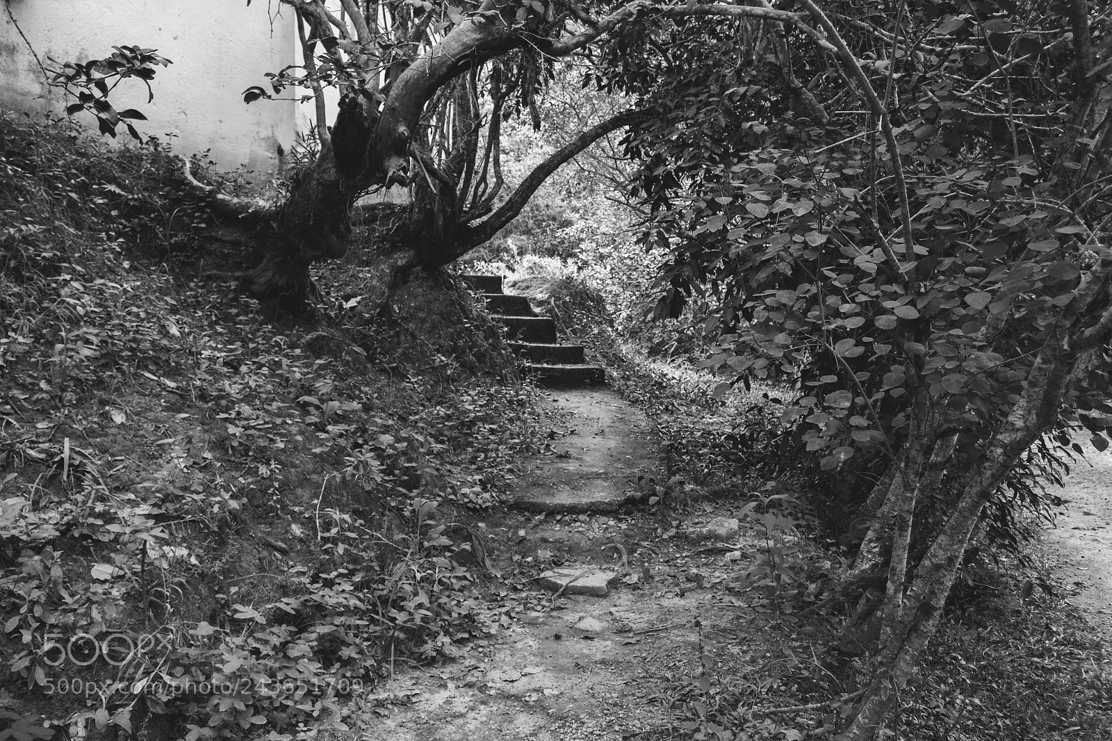 Canon EOS 60D sample photo. Abandoned place photography