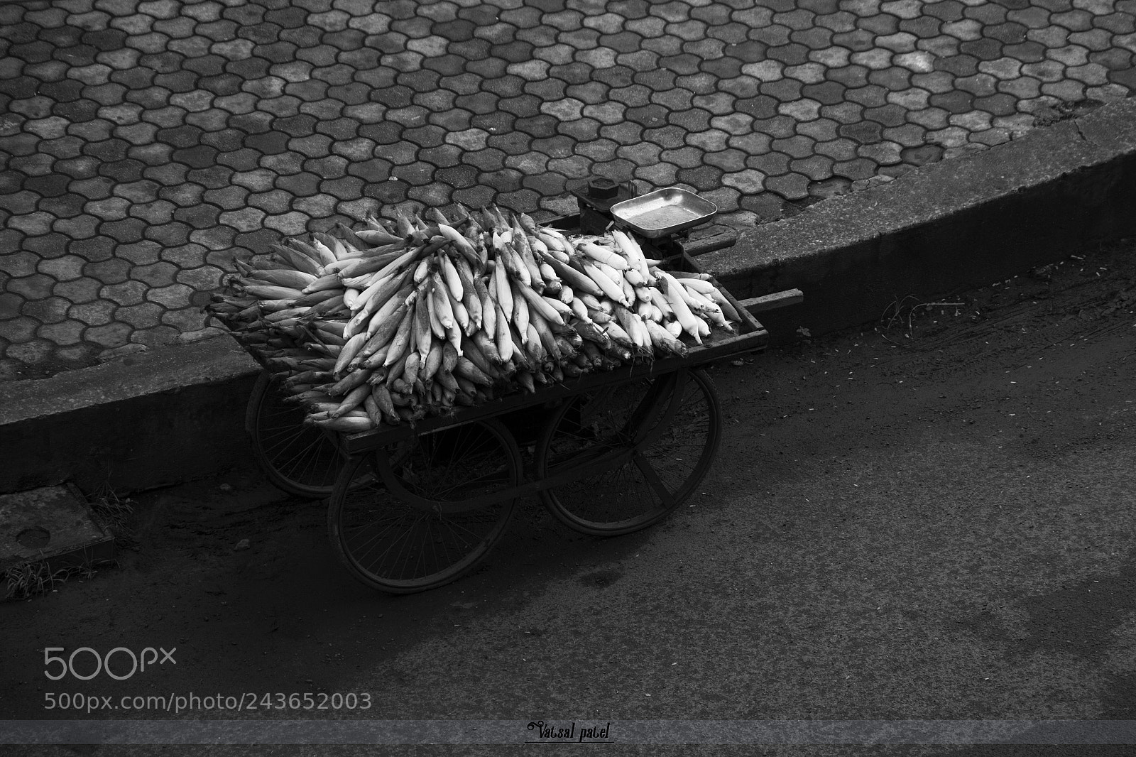 Nikon D7100 sample photo. Food kart.... photography