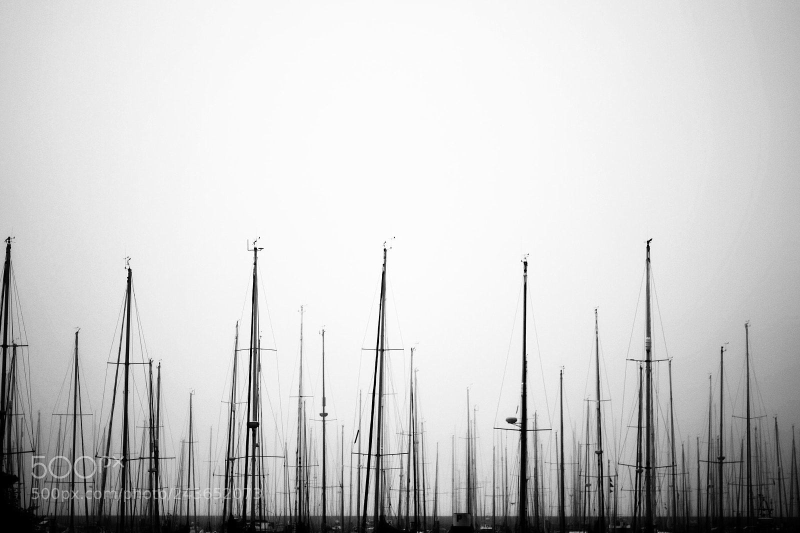 Nikon D3100 sample photo. Masts photography