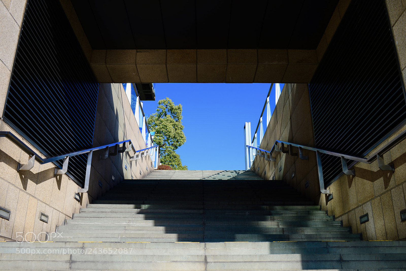 Nikon D610 sample photo. 向上爬 photography