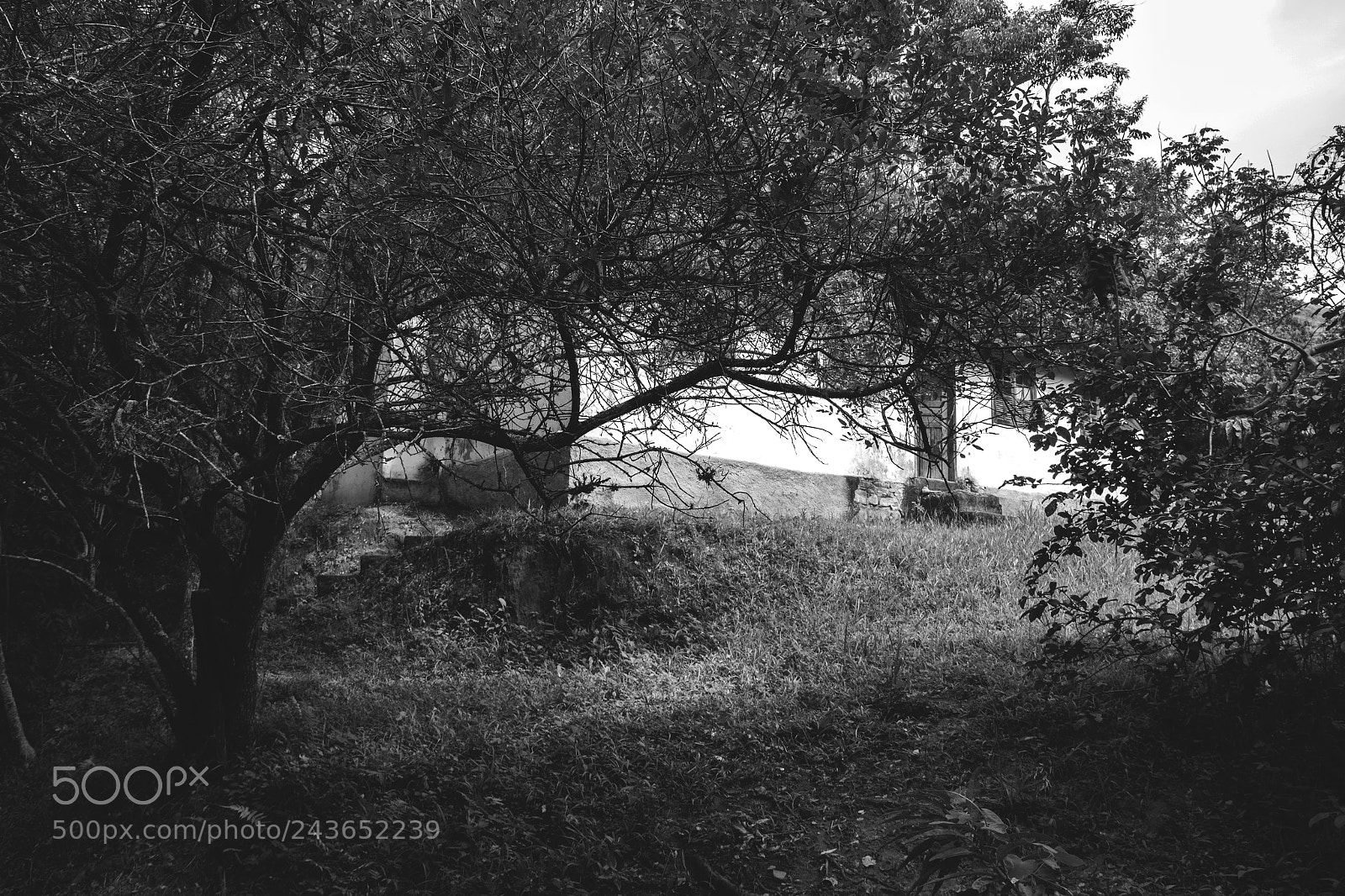 Canon EOS 60D sample photo. Abandoned place photography