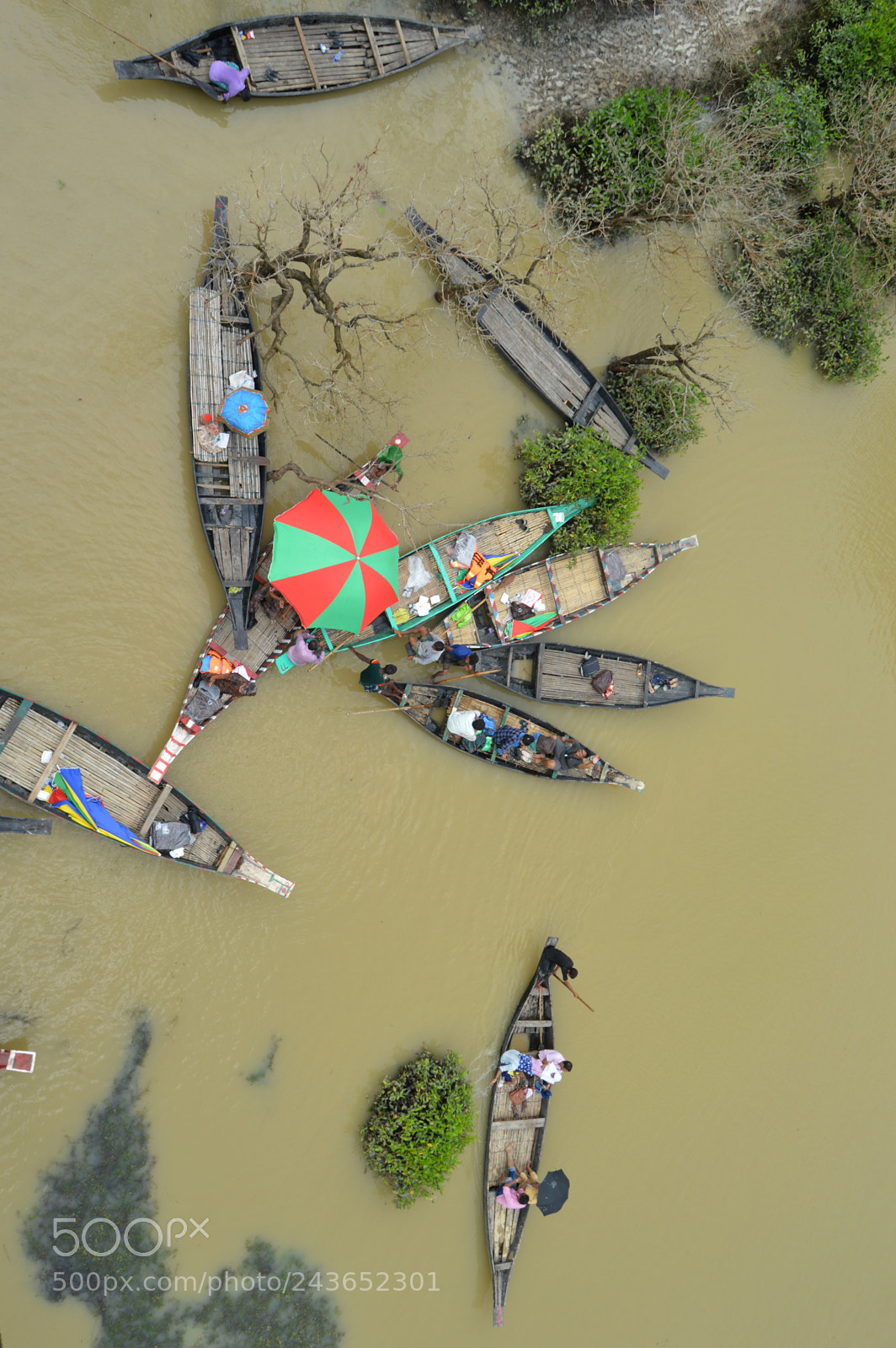 Nikon D3200 sample photo. Ratargul swamp forrest photography