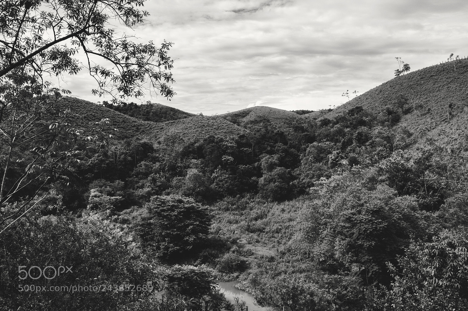 Canon EOS 60D sample photo. Nature photography