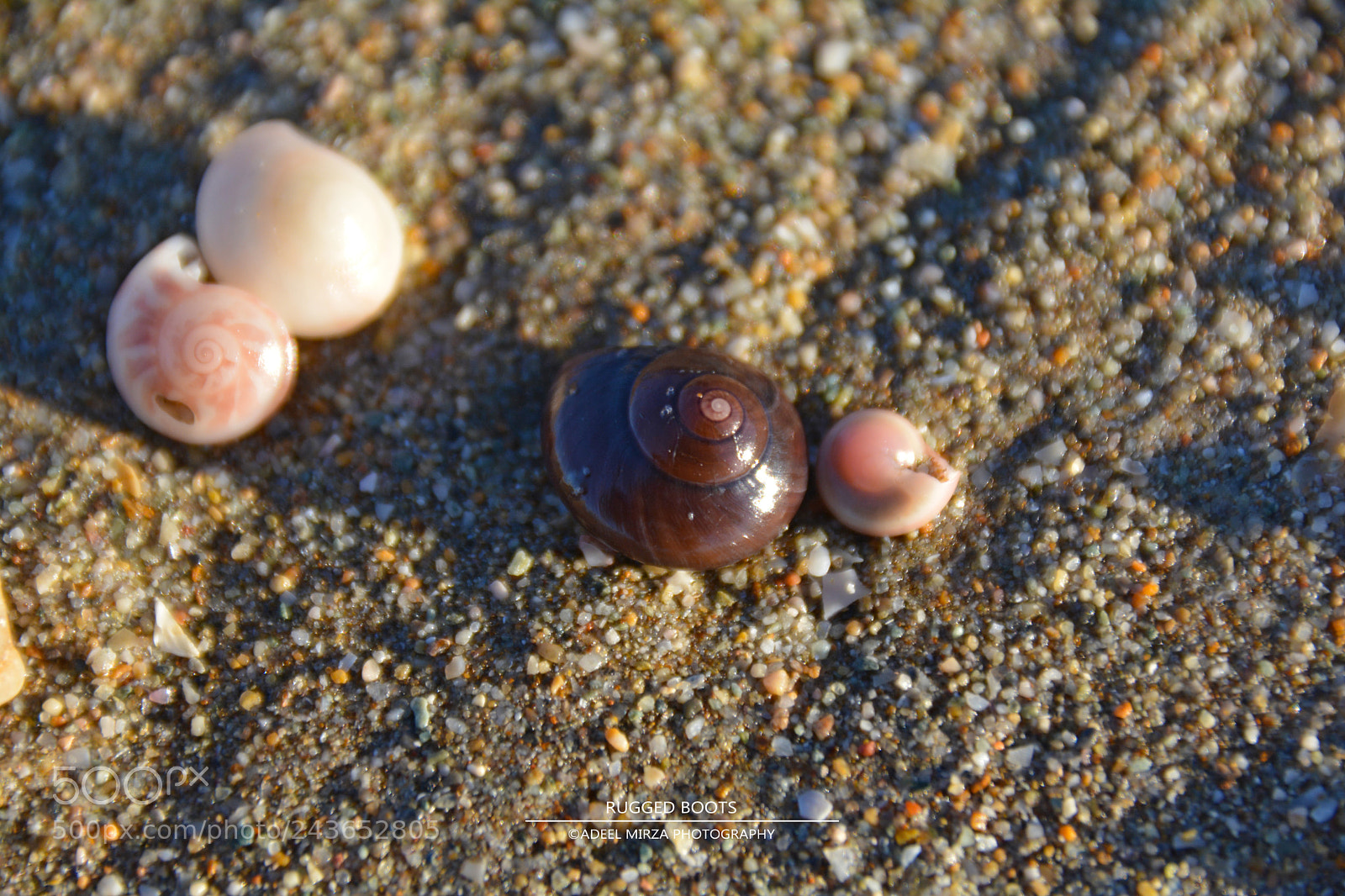 Nikon D7100 sample photo. Micro world photography