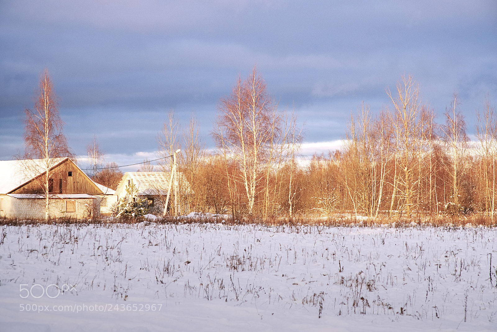Sony a6500 sample photo. Snow in the village photography