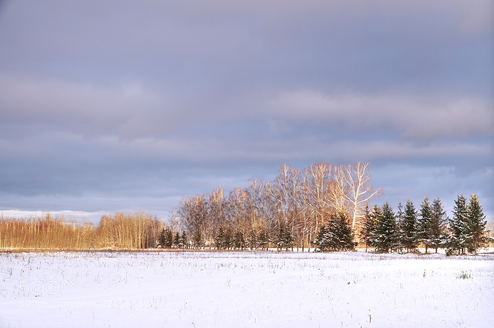 Sony a6500 sample photo. Snow in the village photography