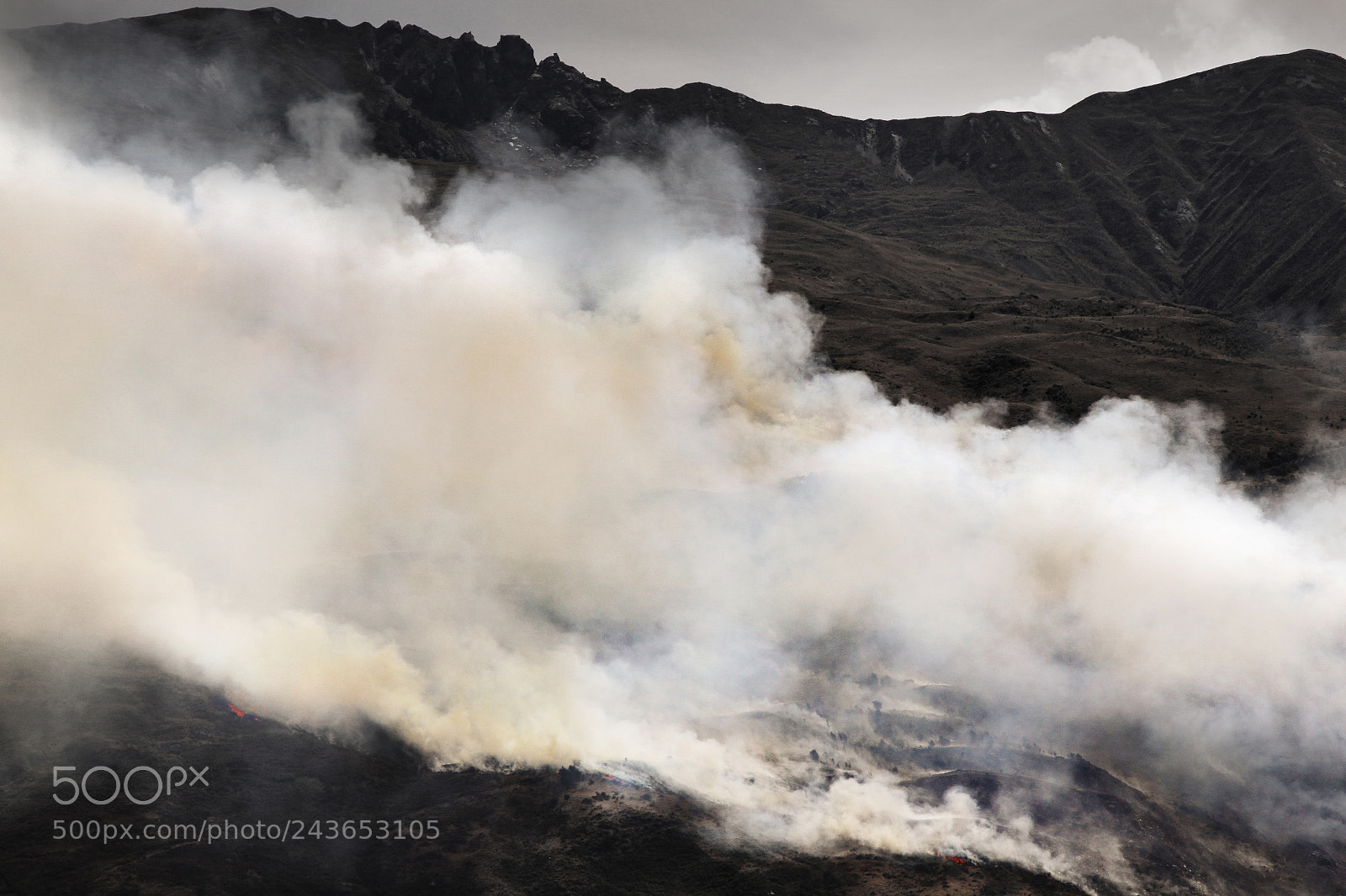 Canon EOS 50D sample photo. Bushfire wanaka photography