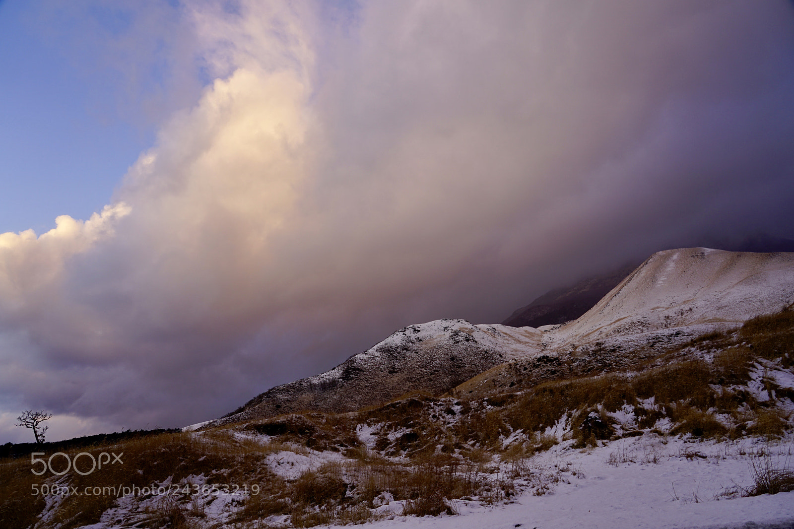 Sony a7 II sample photo. Winter color photography