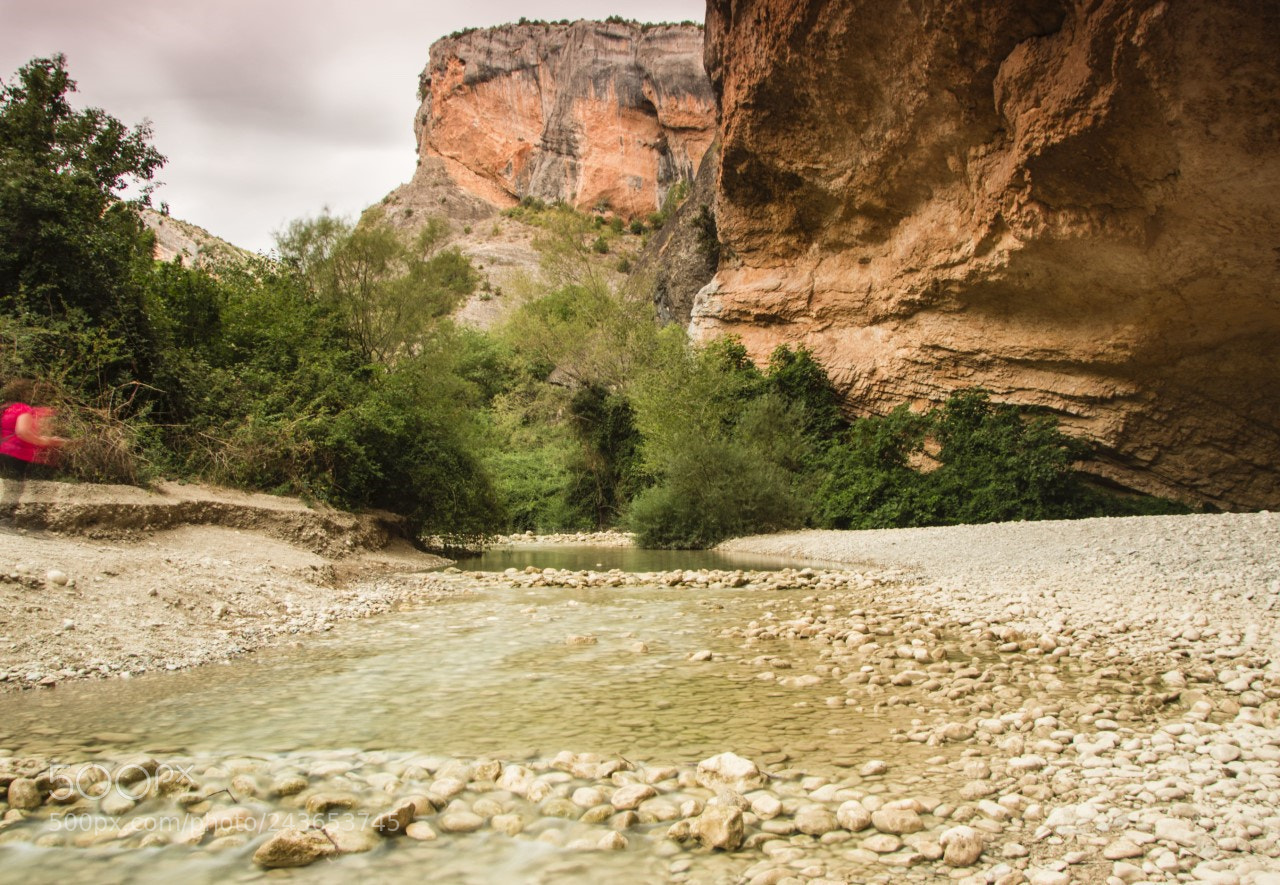 Nikon D7200 sample photo. Rio vero photography
