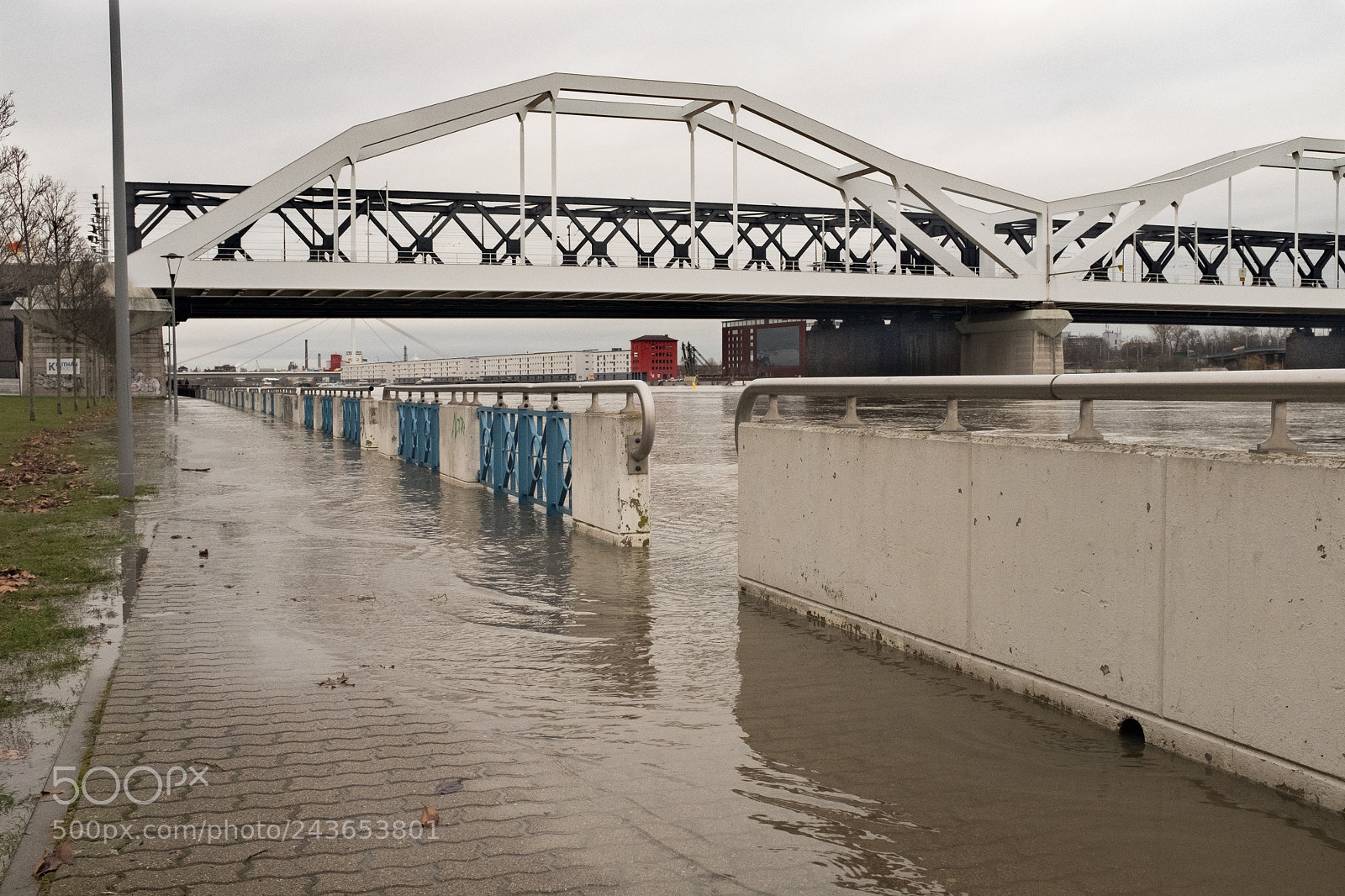 Fujifilm X100F sample photo. Flood photography