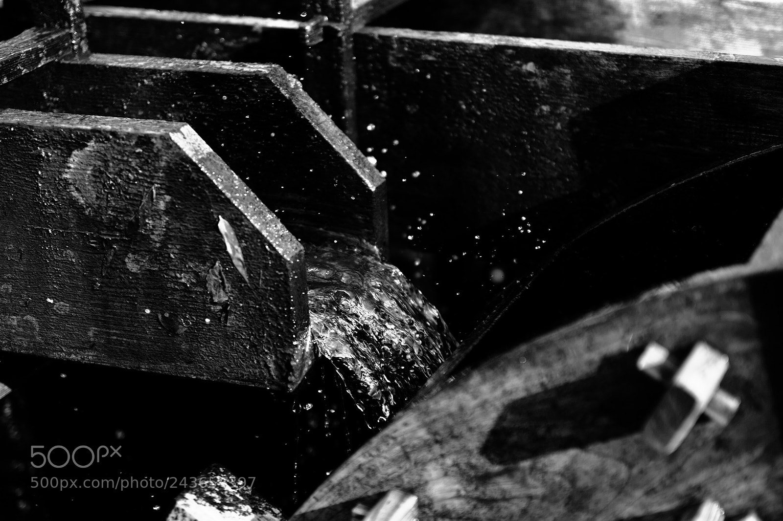 Sigma SD1 Merrill sample photo. Untitled photography