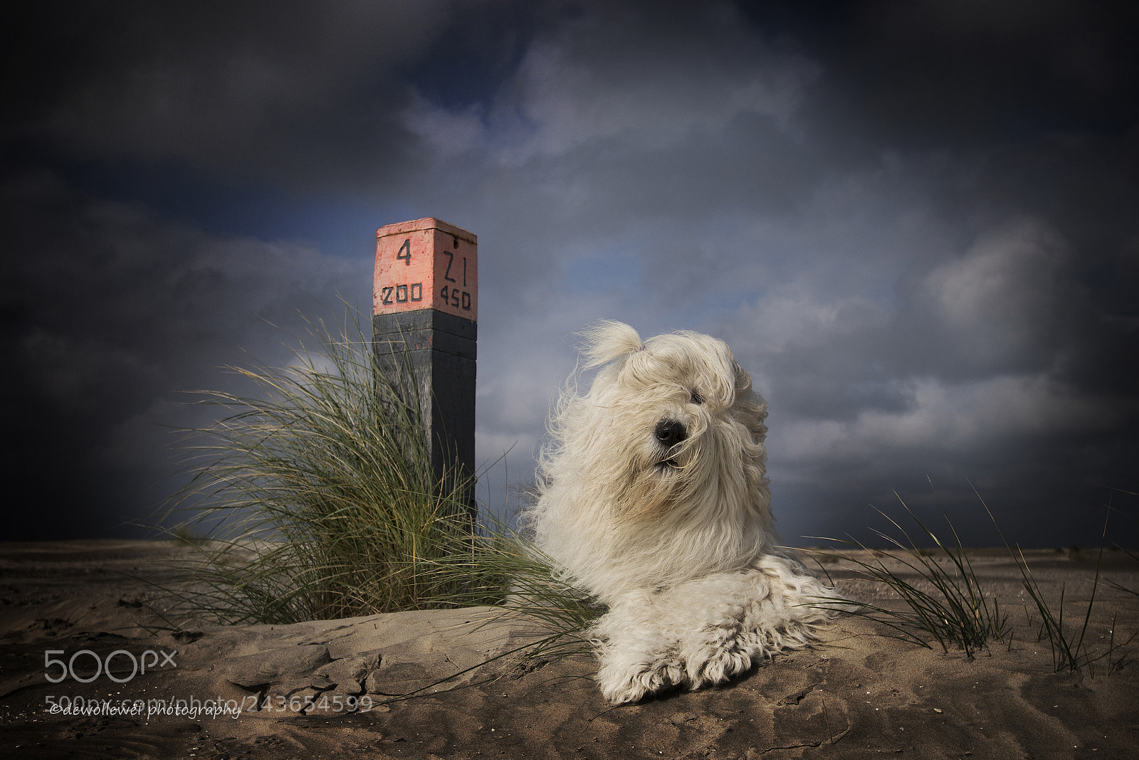 Canon EOS 7D Mark II sample photo. Sophie on the beach photography