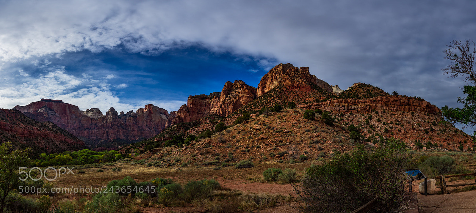 Nikon D810 sample photo. Zion national park photography