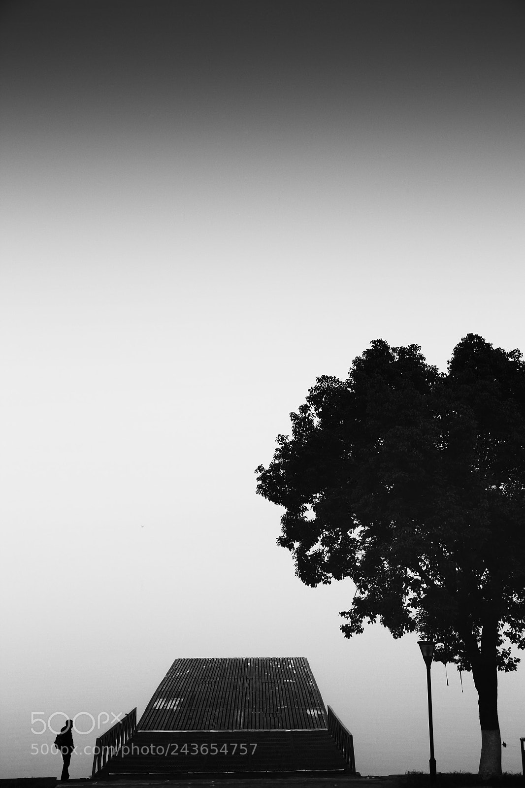 Canon EOS 60D sample photo. Trust your heart photography