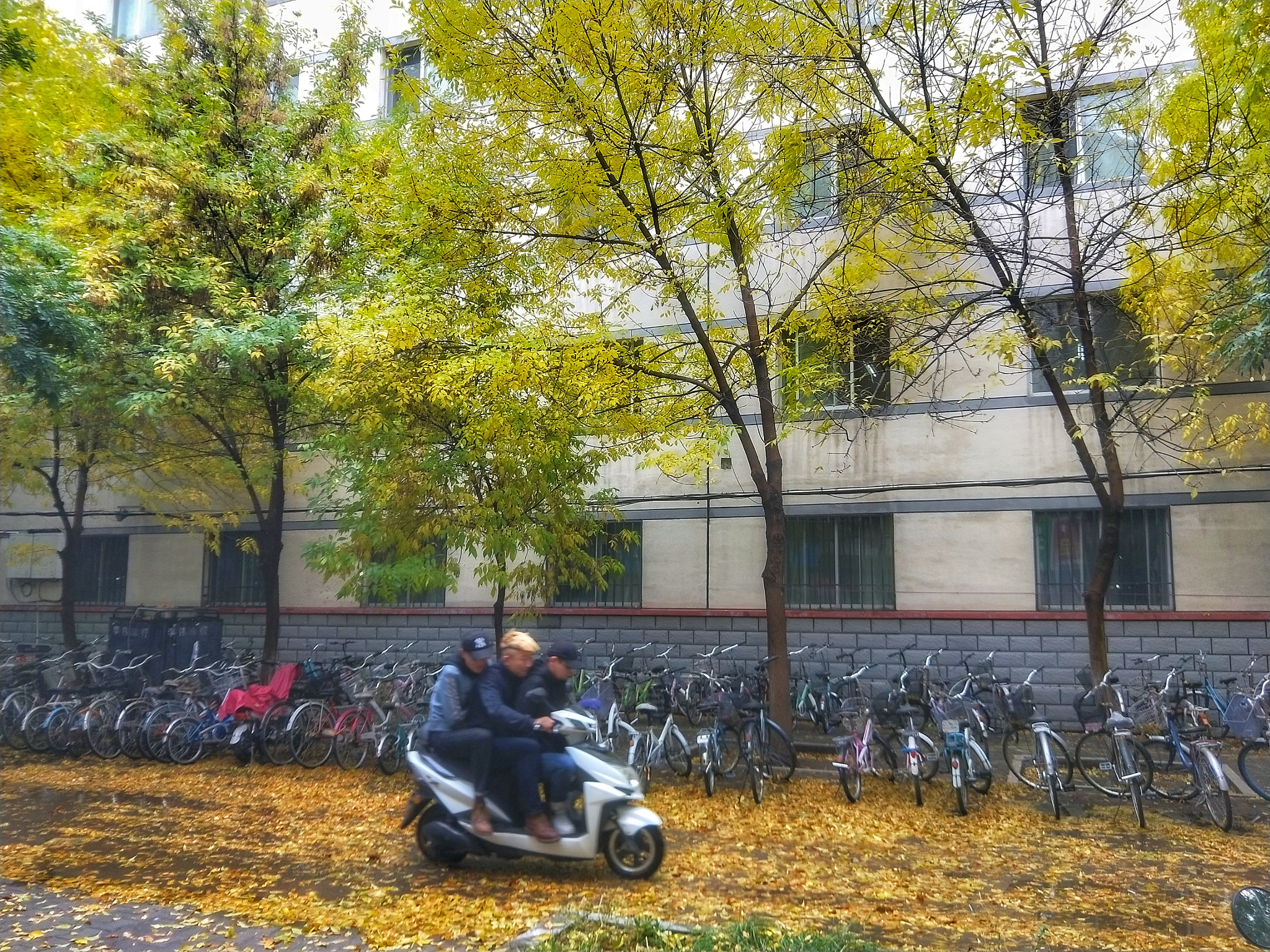 OPPO R11 sample photo. China university photography