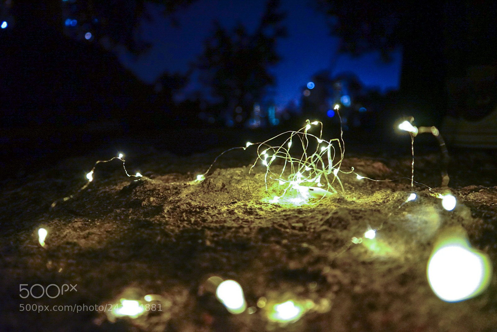 Sony a7 II sample photo. Untitled photography