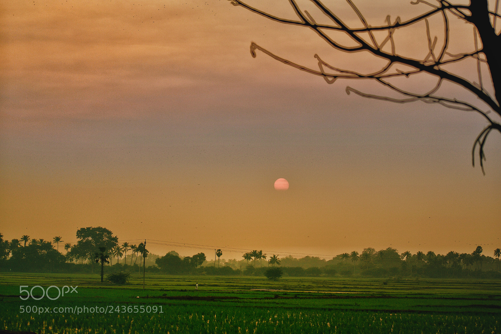 Nikon D5500 sample photo. Abendrot photography