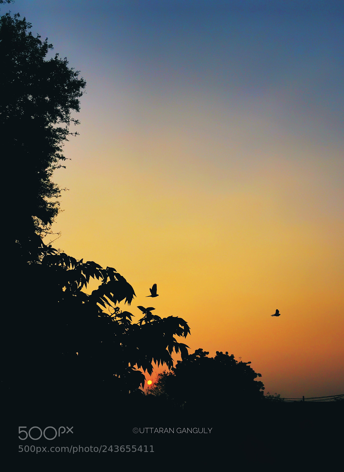 Apple iPhone 6 sample photo. Silhouette mornings! photography