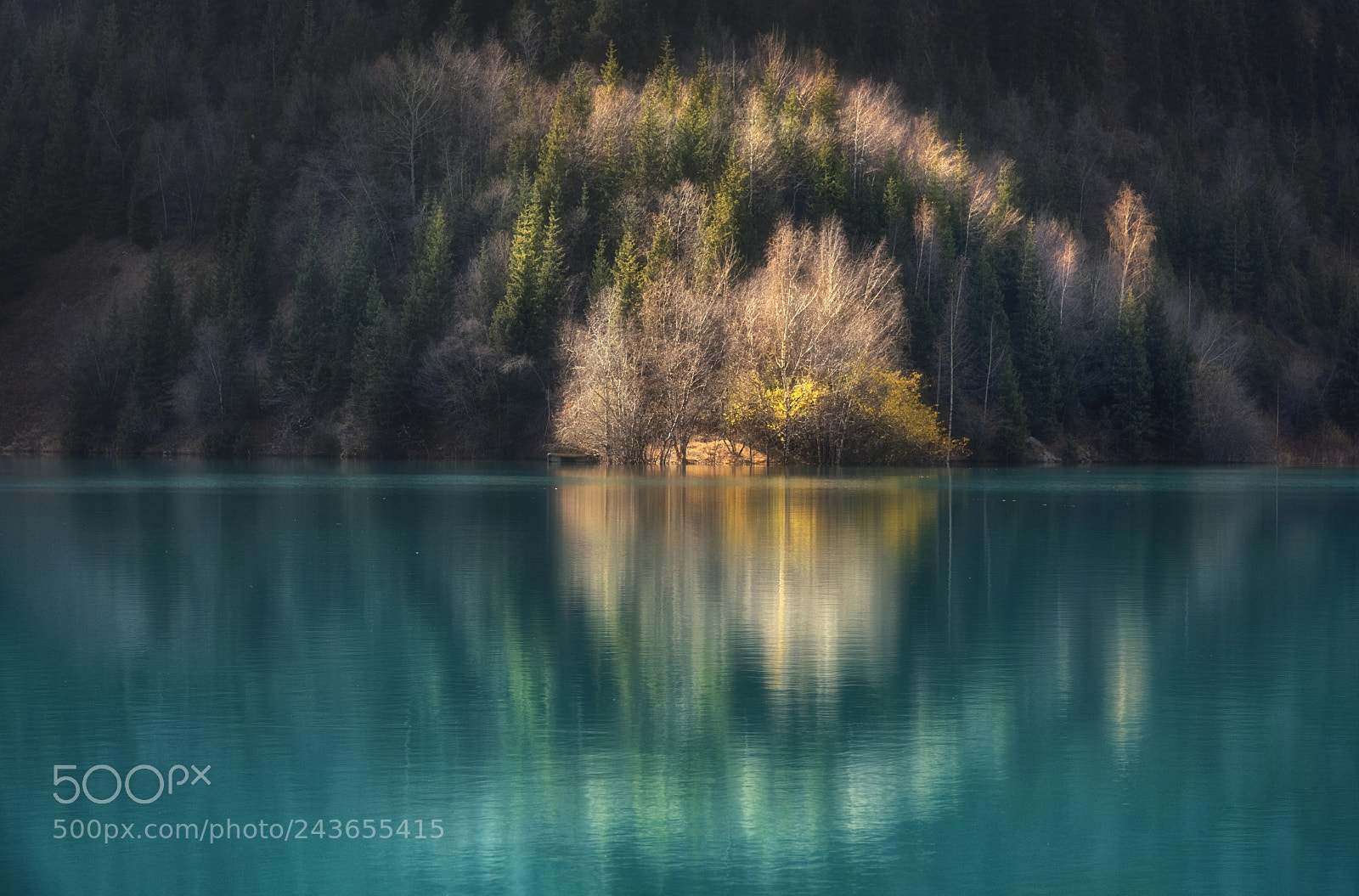Nikon D810 sample photo. Reflections photography