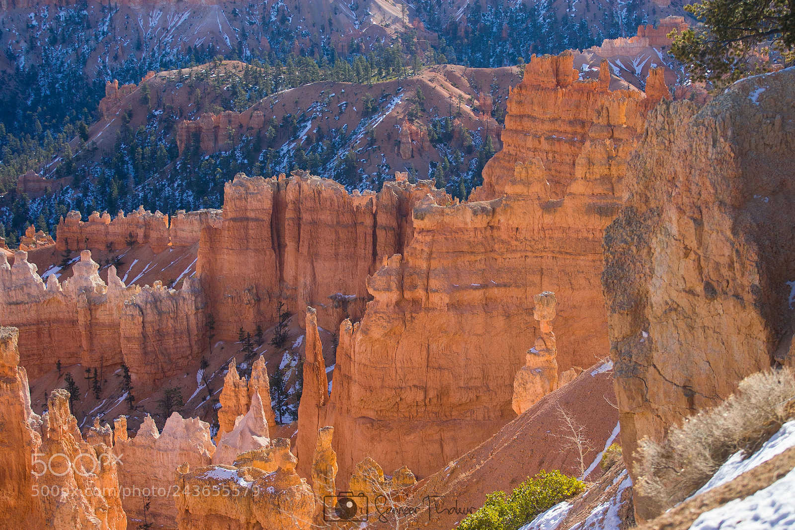 Canon EOS-1D Mark II N sample photo. Bryce canyon photography