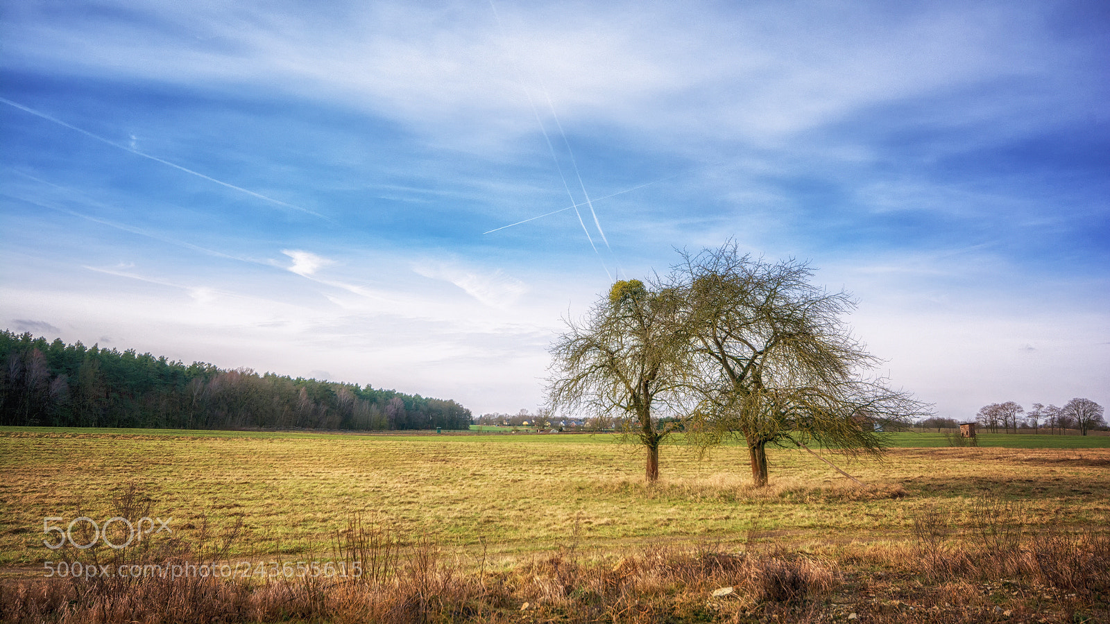 Nikon D7100 sample photo. Schlicht photography