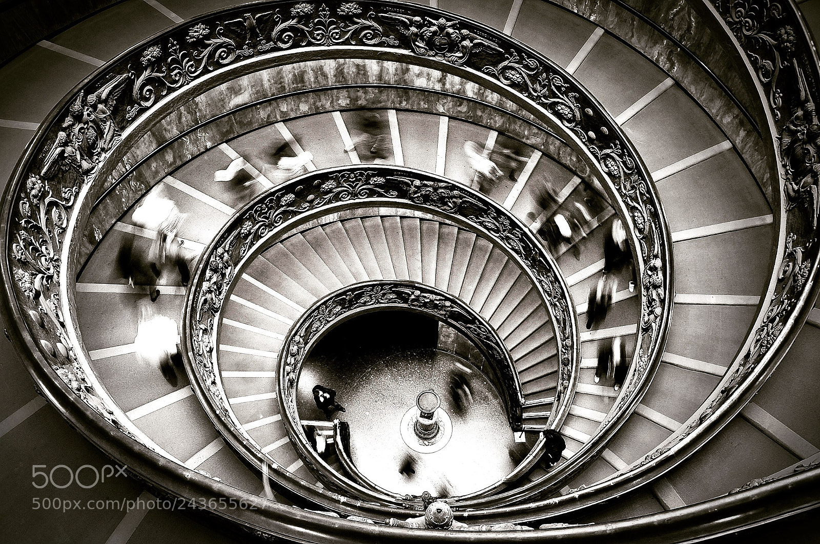 Nikon D700 sample photo. In a downward spiral photography