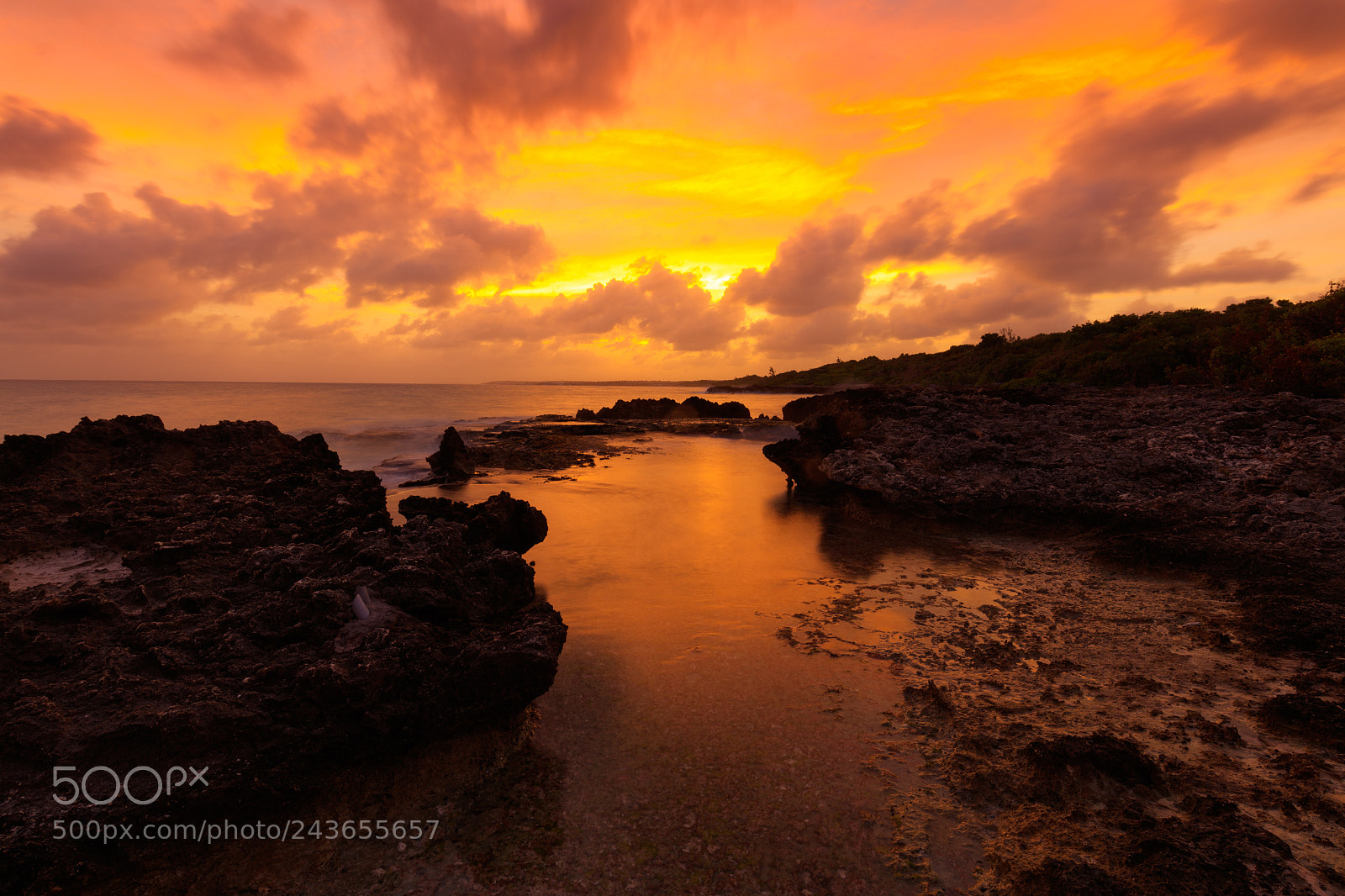 Canon EOS 5DS sample photo. Golden scape photography