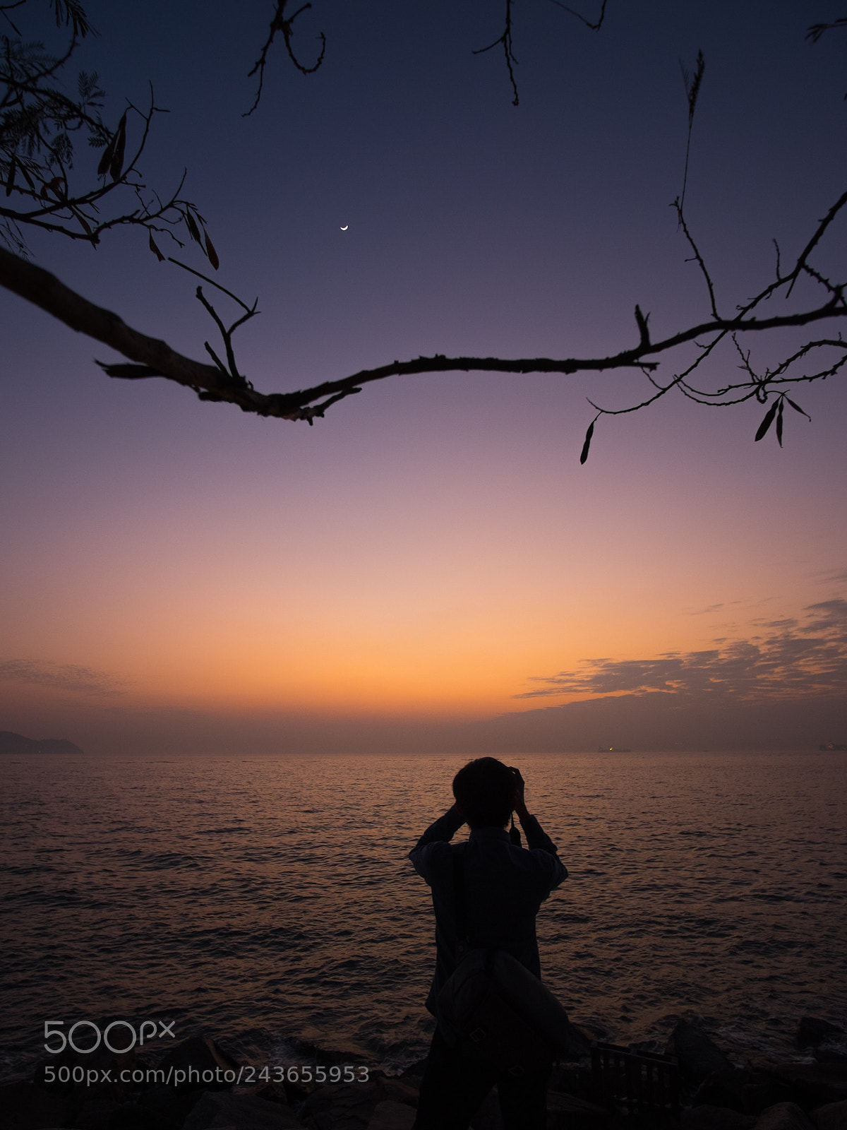 Fujifilm X-T1 sample photo. Whole world under camera photography