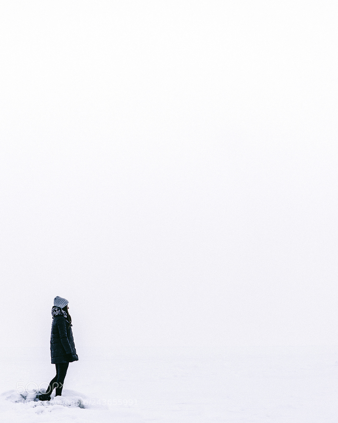 Sony a7R sample photo. Untitled photography