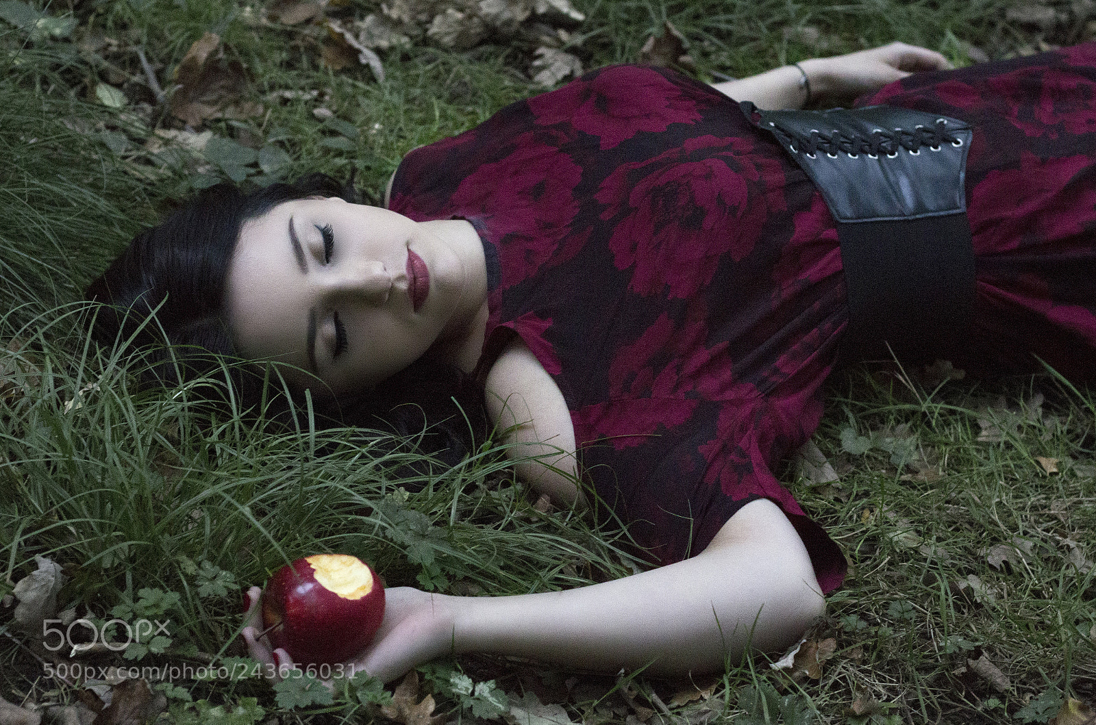 Canon EOS 1200D (EOS Rebel T5 / EOS Kiss X70 / EOS Hi) sample photo. Poisoned snow white photography