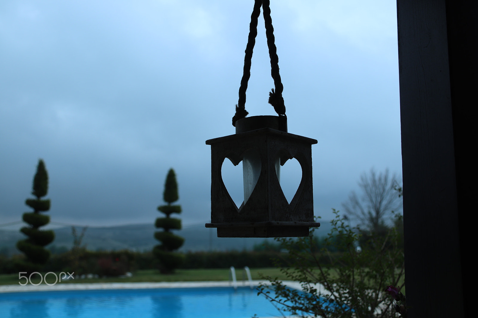 Canon EOS 800D (EOS Rebel T7i / EOS Kiss X9i) sample photo. Where is summer? photography