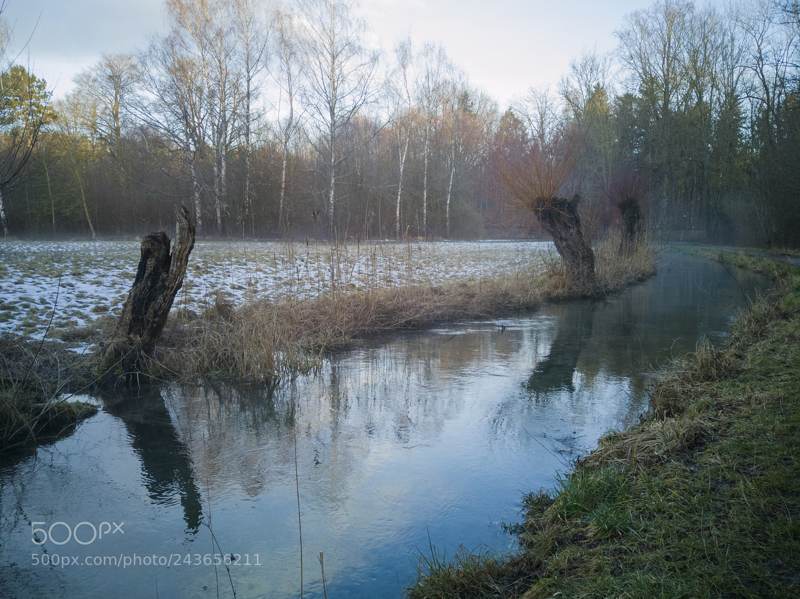 HUAWEI P10 Plus sample photo. Crippled pastures at dawn photography