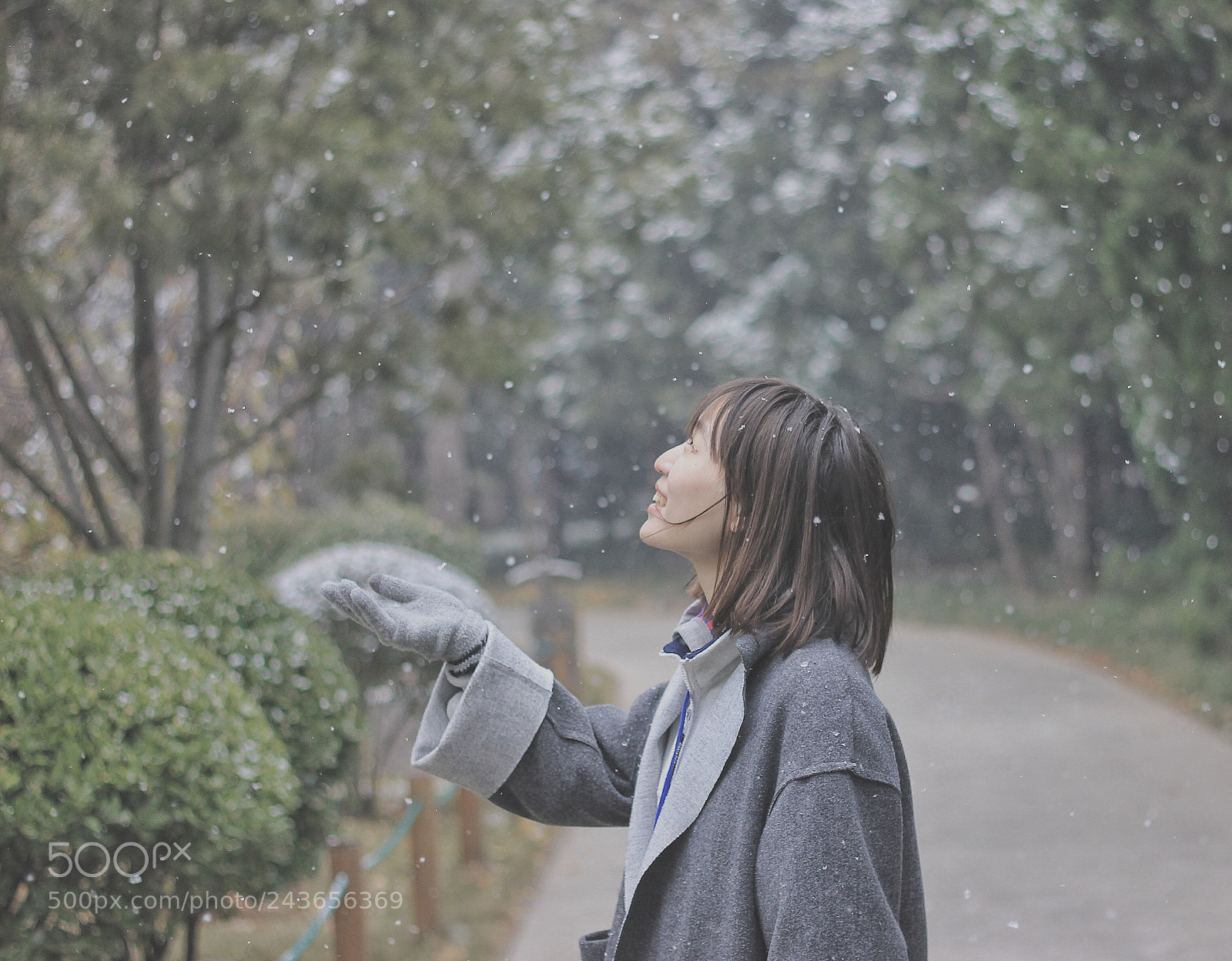 Canon EOS 550D (EOS Rebel T2i / EOS Kiss X4) sample photo. Snowing photography