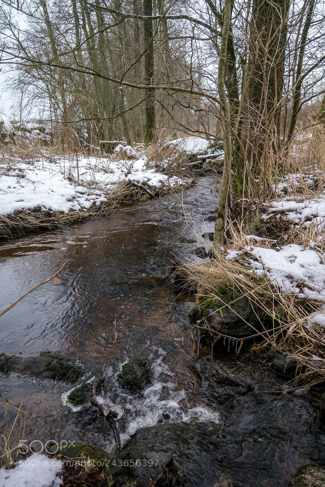Panasonic Lumix DMC-GX1 sample photo. The creek photography
