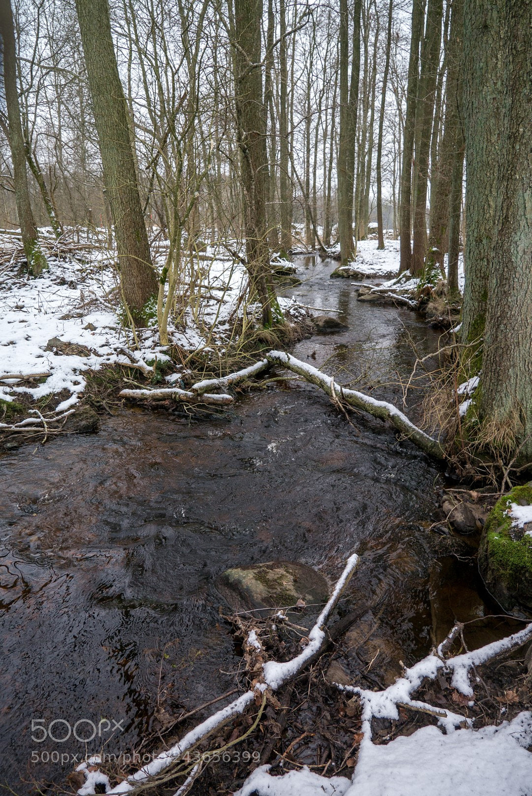 Panasonic Lumix DMC-GX1 sample photo. The creek photography