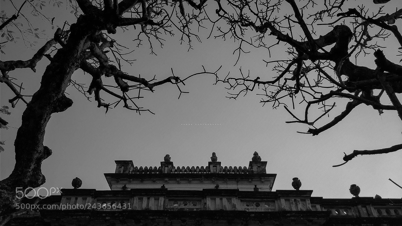 OnePlus 5 sample photo. Black & white photography