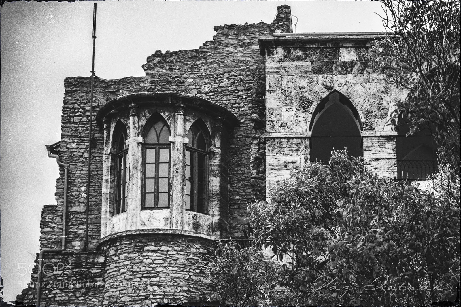 Nikon D7200 sample photo. Castle of tata ,hungary photography