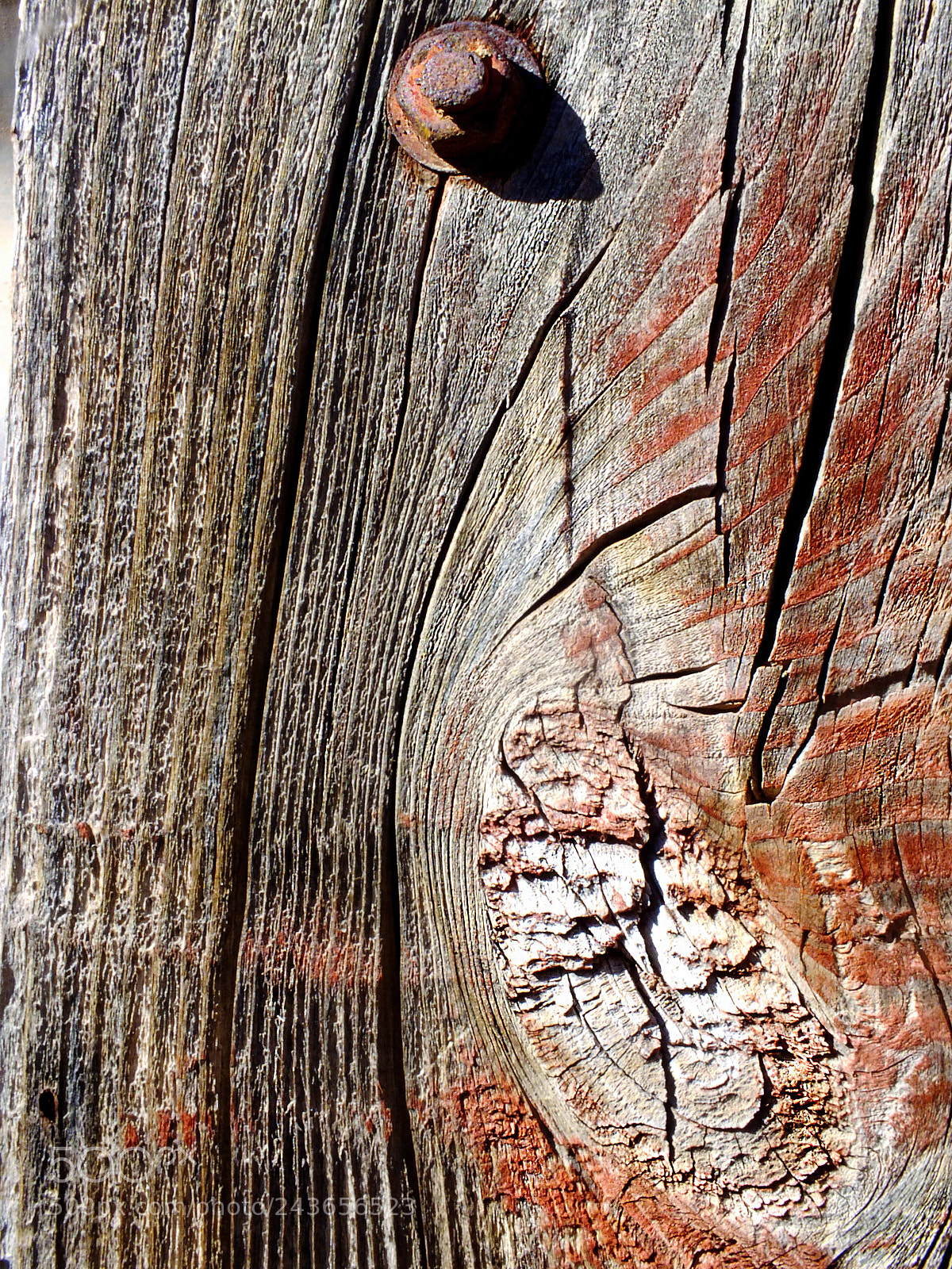 FujiFilm FinePix HS20 EXR (FinePix HS22 EXR) sample photo. Old wood photography