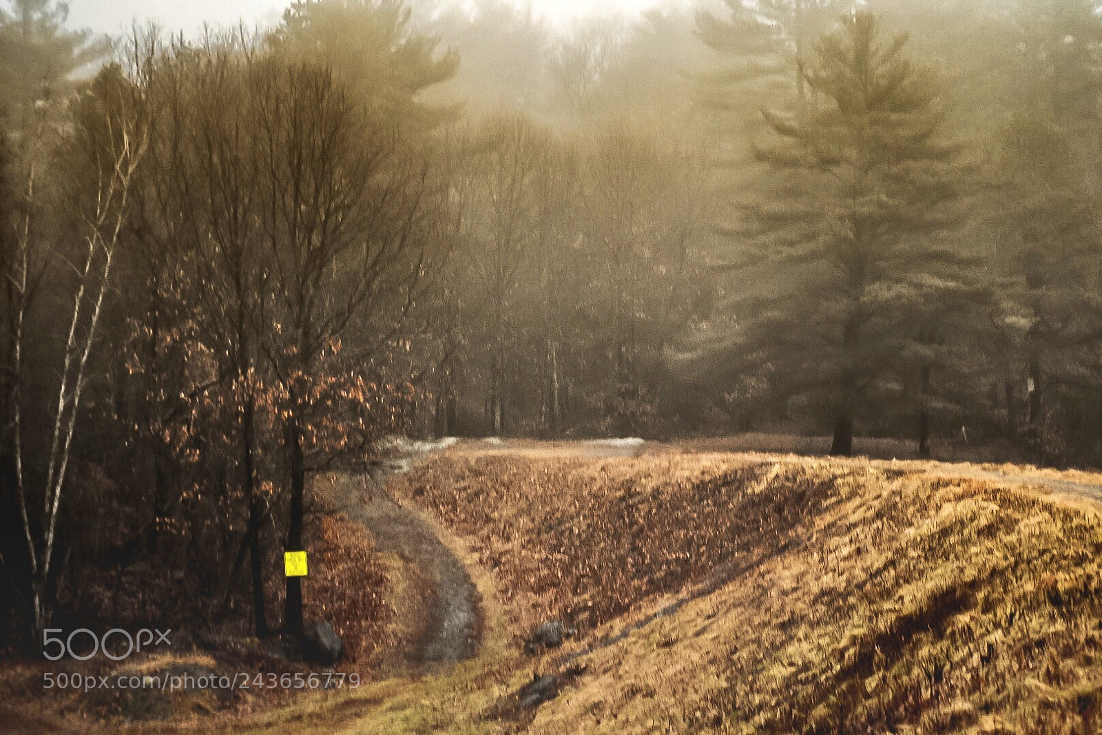Nikon D7200 sample photo. Rainy hike photography