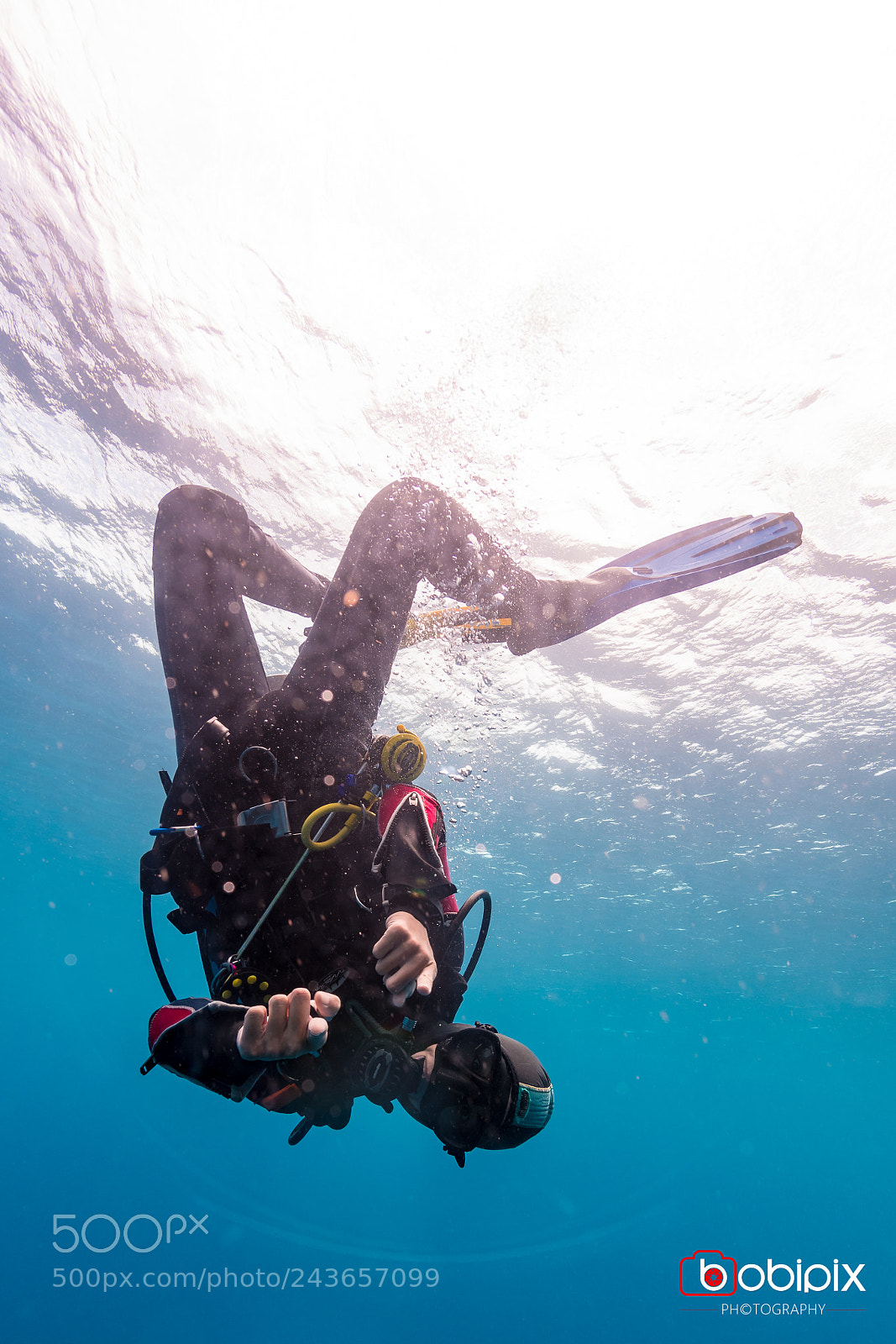 Nikon D500 sample photo. Philippines dive photography