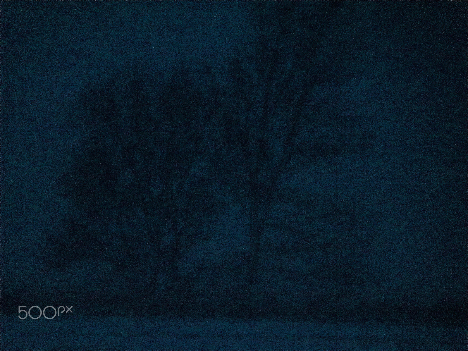 JK KODAK PIXPRO AZ401 sample photo. Two trees photography
