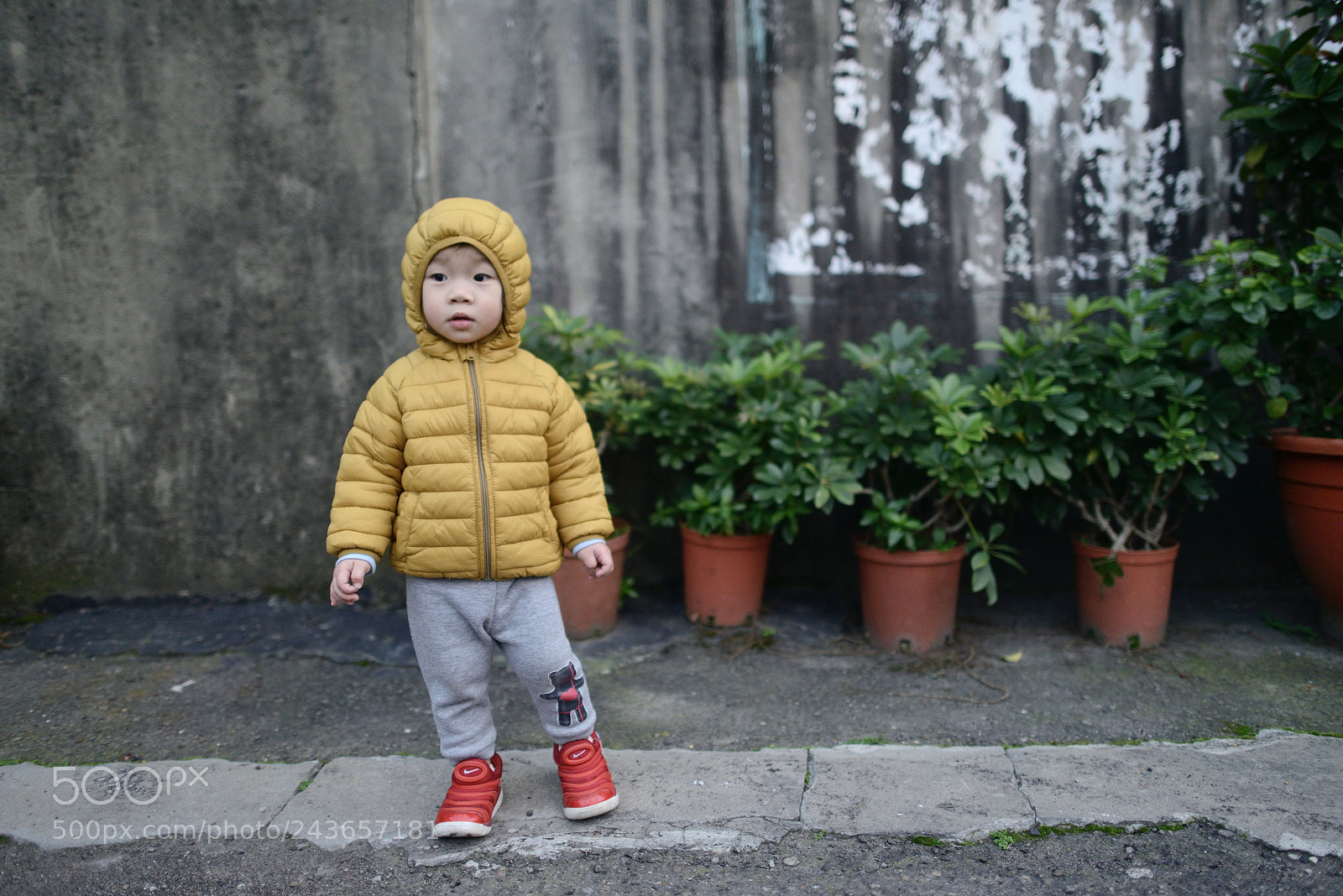 Nikon D800 sample photo. Untitled photography