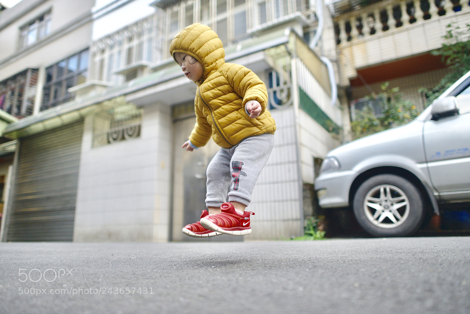 Nikon D800 sample photo. Untitled photography