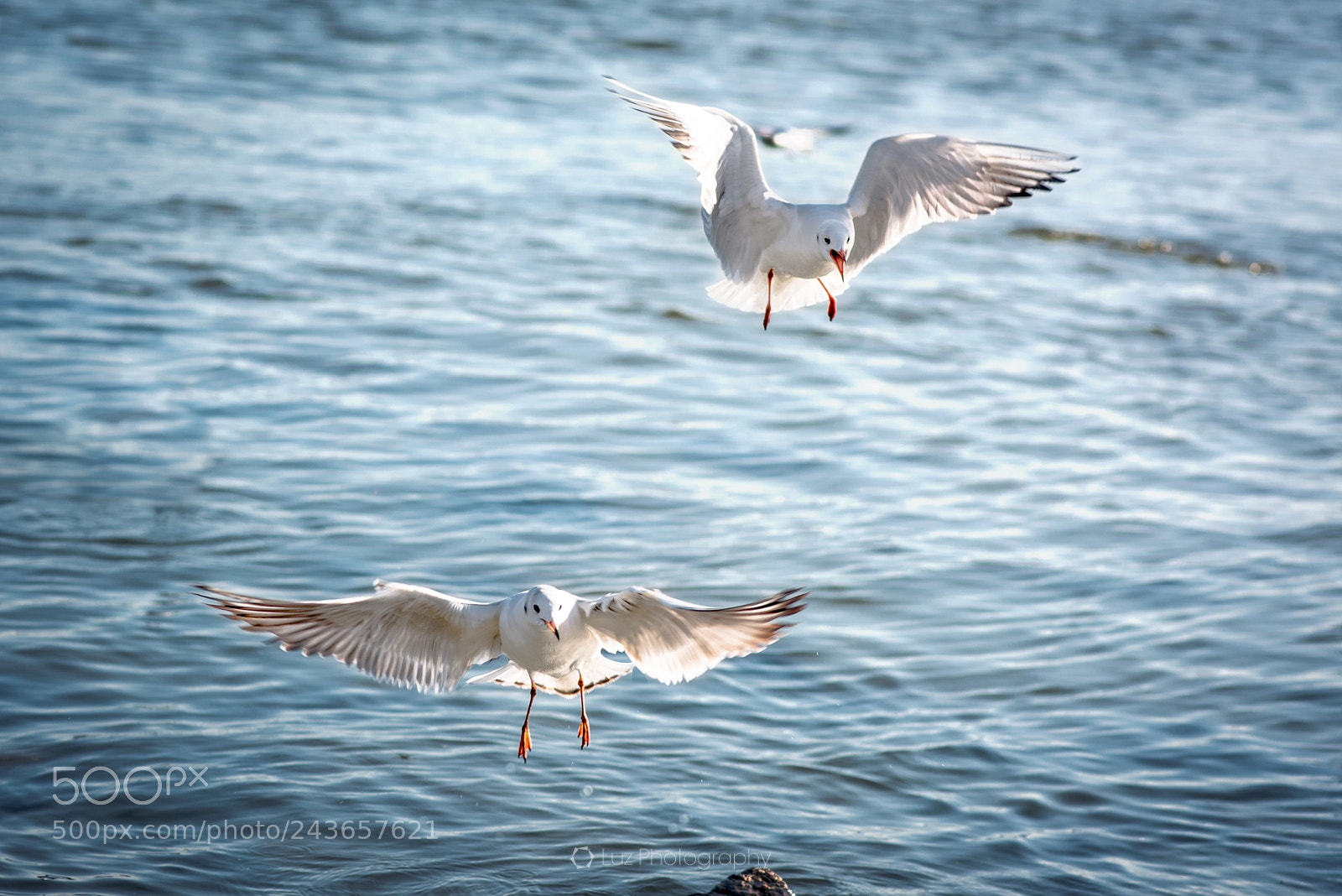 Nikon D810 sample photo. Incoming photography