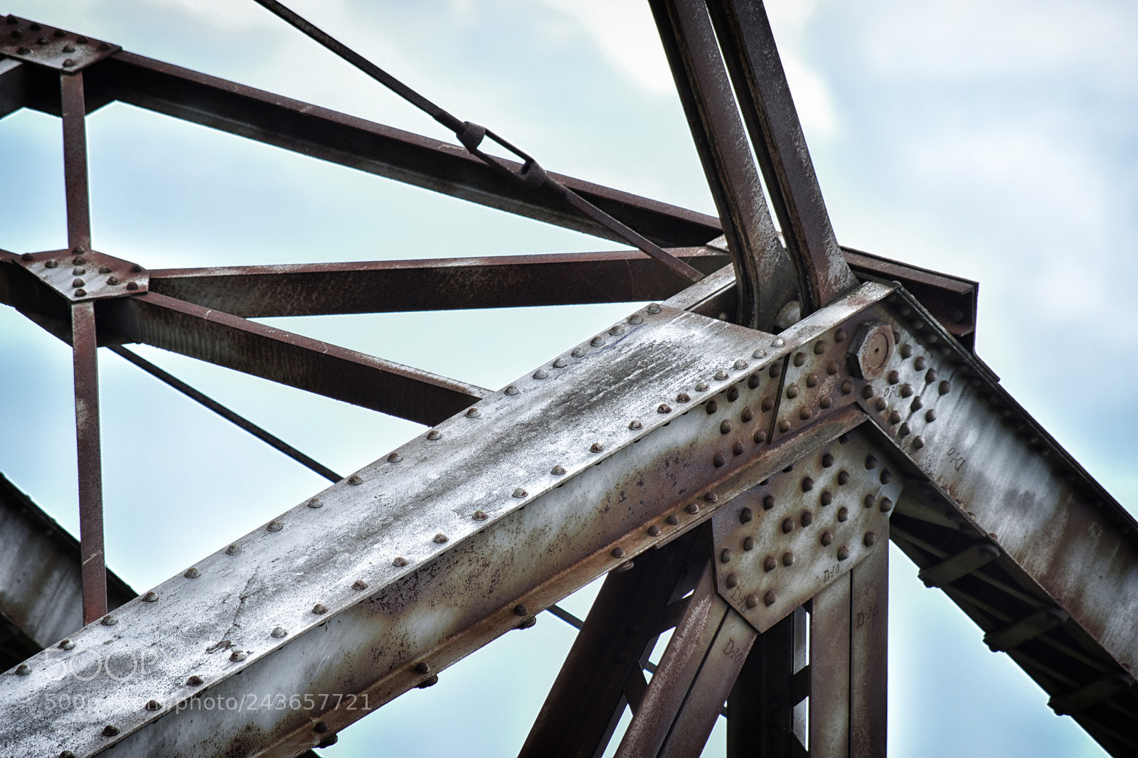 Nikon D5500 sample photo. Strong photography